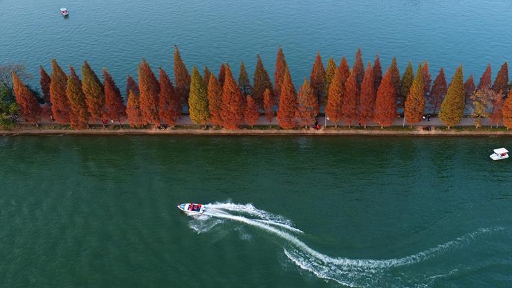 層林染翠湖