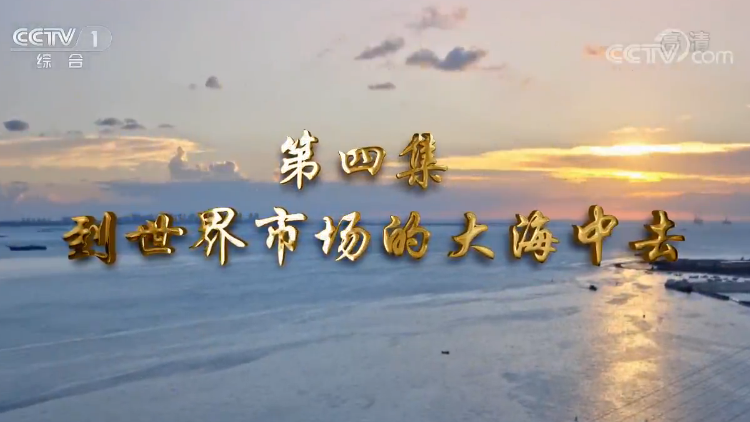 《我們一起走過——致敬改革開放40周年》第四集 到世界市場的大海中去