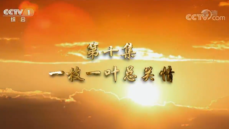 《我們一起走過(guò)——致敬改革開放40周年》第十集 一枝一葉總關(guān)情