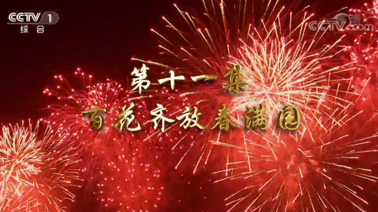 《我們一起走過——致敬改革開放40周年》第十一集 百花齊放春滿園