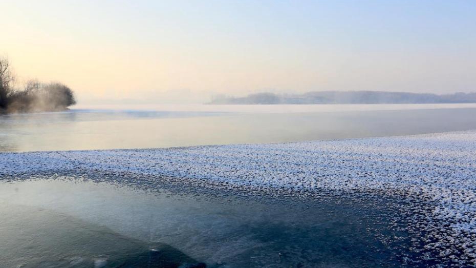 甘肅戈壁濕地冰面“雪處疑花滿(mǎn)”