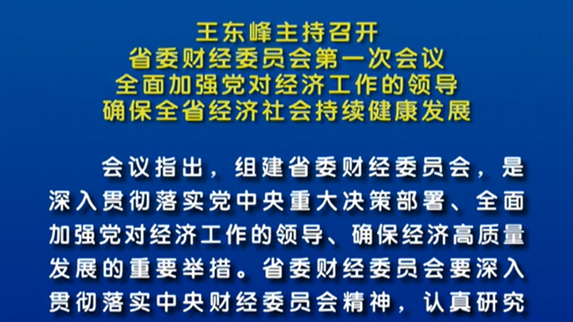 【視頻】王東峰主持召開省委財經(jīng)委員會第一次會議