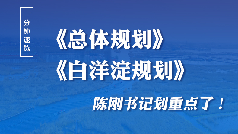 一分鐘速覽！《總體規(guī)劃》《白洋淀規(guī)劃》陳剛書記劃重點(diǎn)了！