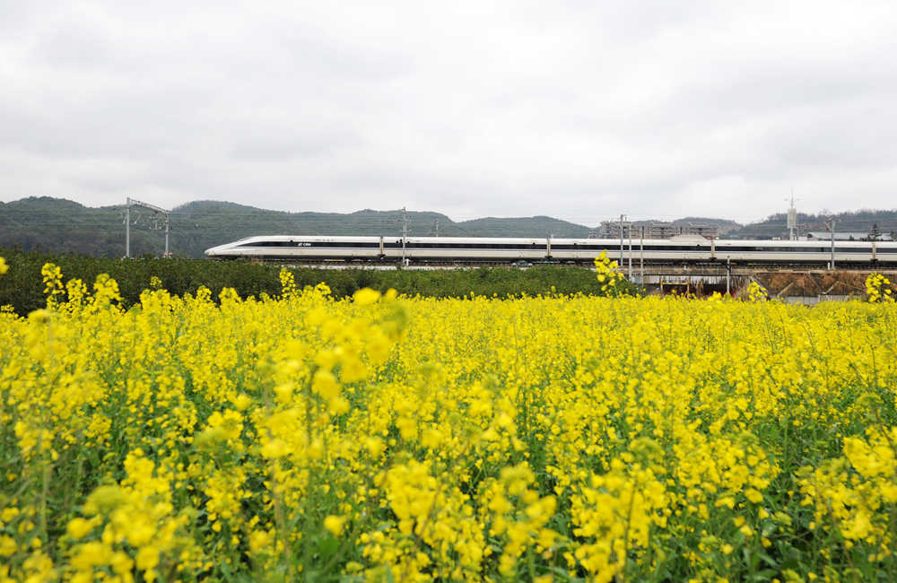 開(kāi)往春天的列車