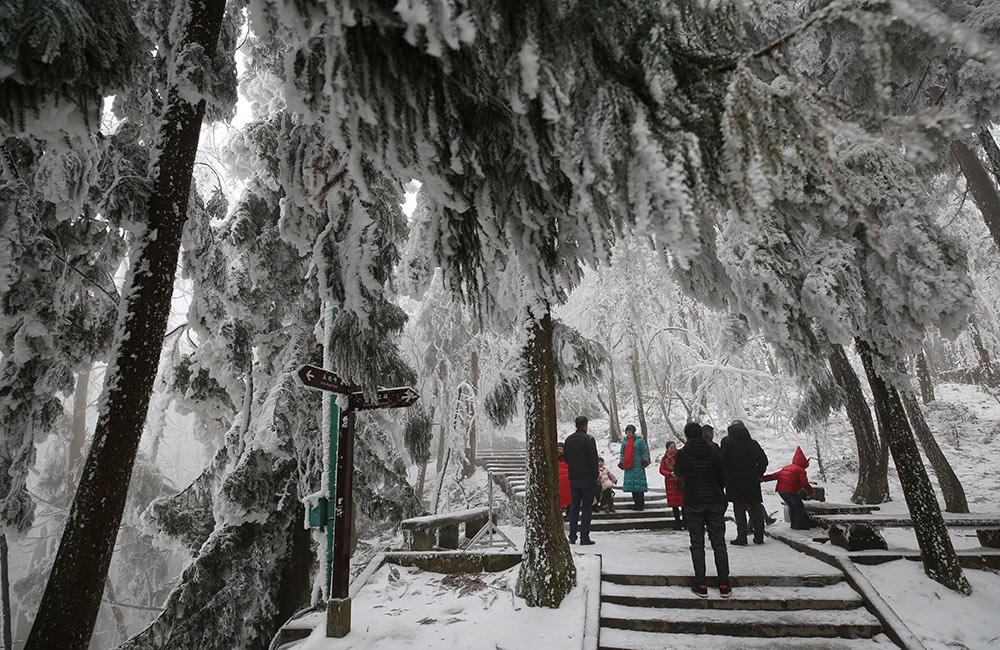 張家界迎降雪 景區(qū)銀裝素裹