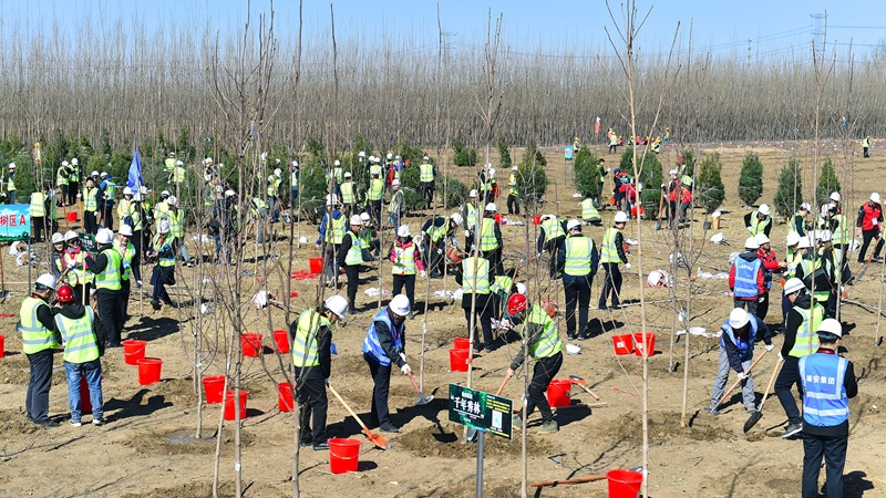 視頻丨雄安新區(qū)舉行2019年春季義務(wù)植樹暨“向雷鋒同志學習紀念林”共建活動