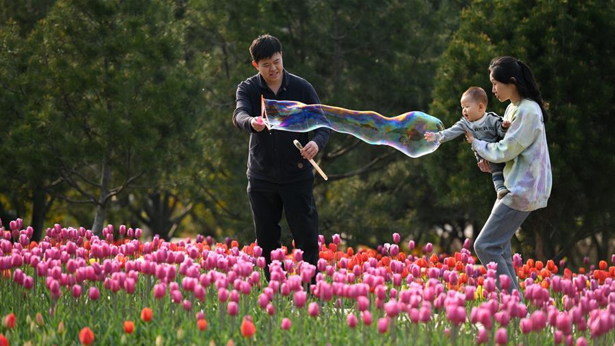 春花爛漫時