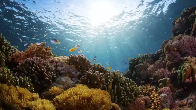 歡樂暑假丨暑期不得不去的河北旅游勝地