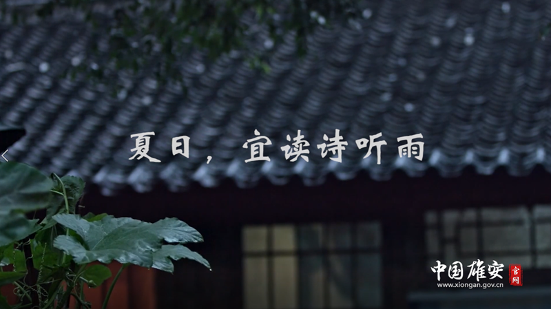 視頻丨夏日，宜讀詩(shī)聽(tīng)雨