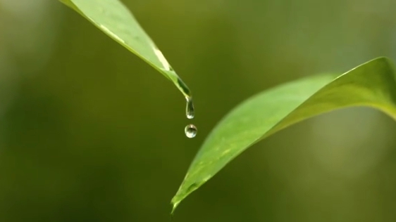 白露丨秋意濃，天涼莫忘添衣