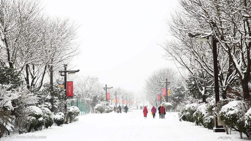 雄安下雪啦！這份暖心貼士請收好