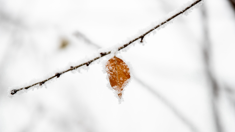 美呆了！雪后的雄安！