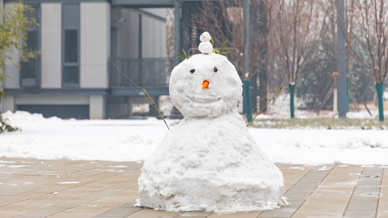 圖集 | 雪落雄安新區(qū)，到處銀裝素裹