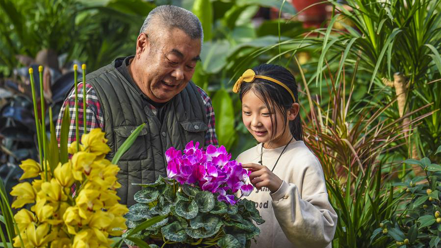 河北故城：綠植走俏迎新年