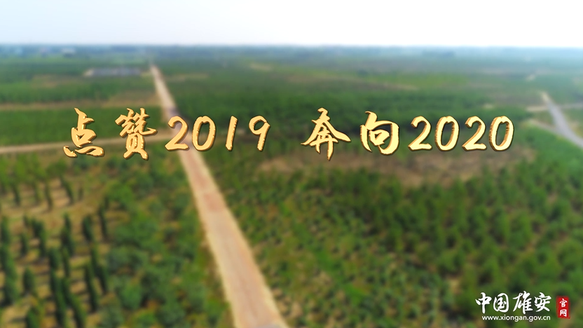 點贊2019！奔向2020！