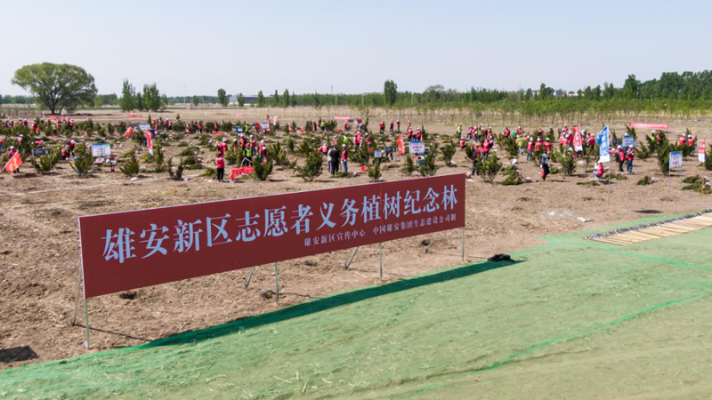 雄安新區(qū)開展“播種希望 植綠雄安”志愿服務(wù)活動