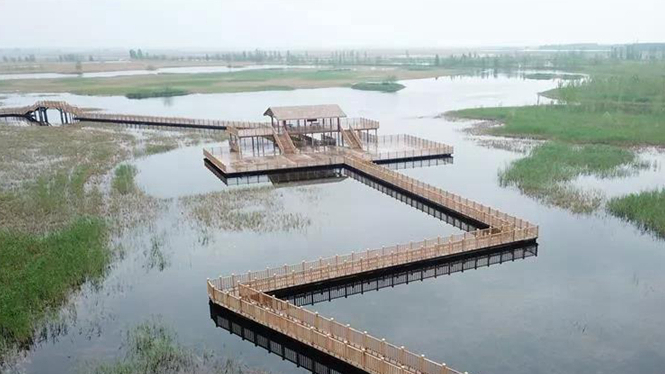 “聲”韻雄安⑩丨魅力雄安——游長(zhǎng)廊郊野公園 賞雄安秀美風(fēng)光