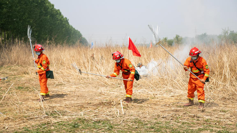 圖集|雄安新區(qū)安新縣舉行2020年森林草原火災應(yīng)急救援演練