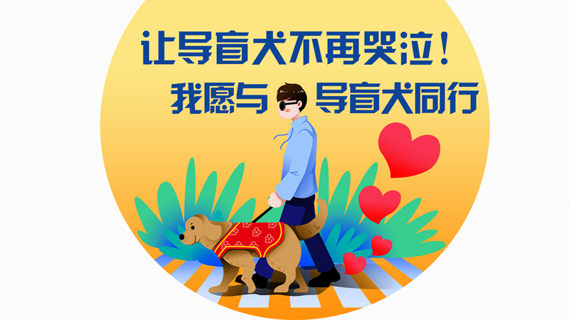 圖解丨讓導盲犬不再哭泣！我愿與導盲犬同行