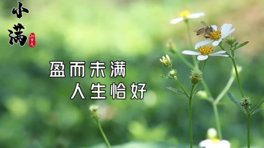 小滿｜盈而未滿 人生恰好