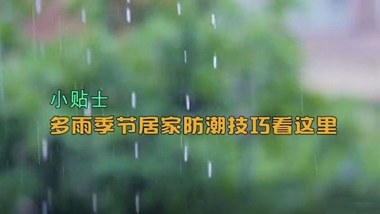 小貼士丨多雨季節(jié)居家防潮技巧看這里