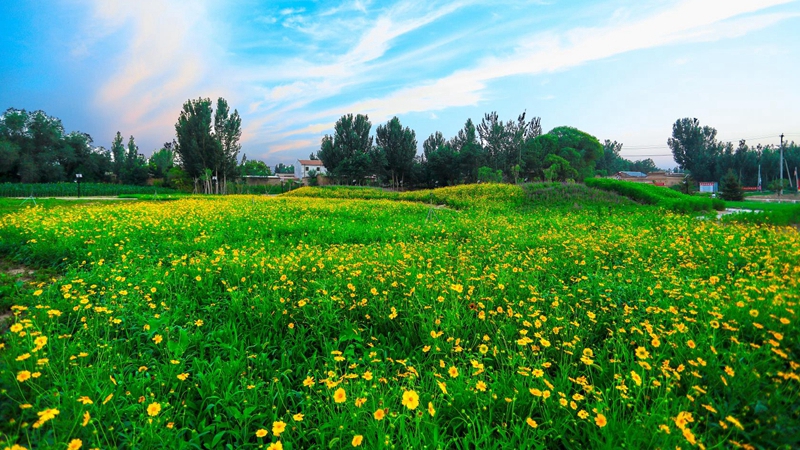 花開(kāi)滿(mǎn)城 繁花似錦——雄安新區(qū)雄縣人居環(huán)境整治成果展示