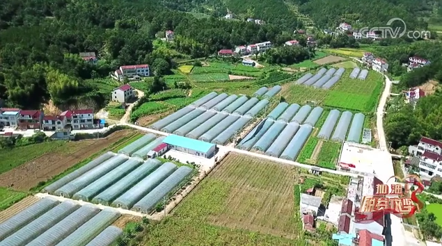 《加油！脫貧攻堅》第八集《神峰領秀大別山》