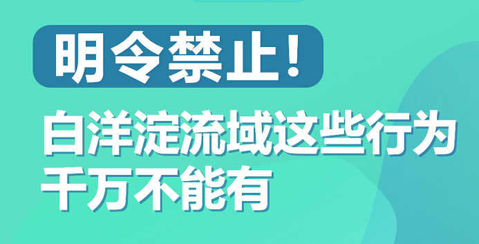 圖解丨明令禁止！白洋淀流域這些行為千萬不能有