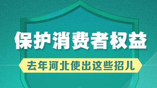 長圖｜保護(hù)消費(fèi)者權(quán)益，去年河北使出這些招兒