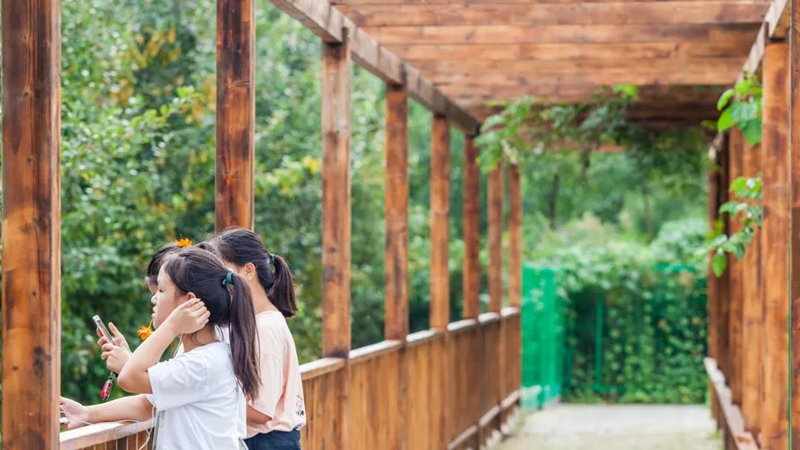 春意盎然！快來雄縣這些游園公園打卡吧