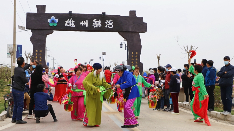 雄安雄州梨灣梨花游園會(huì)開(kāi)幕