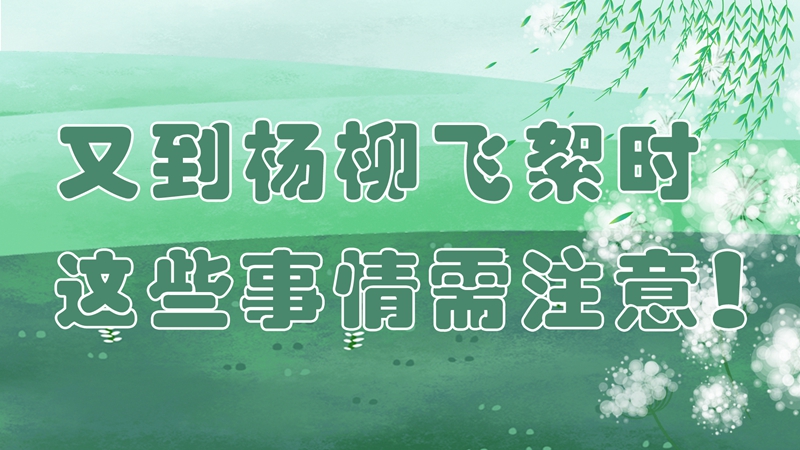 又到楊柳飛絮時(shí)，這些事情需注意！