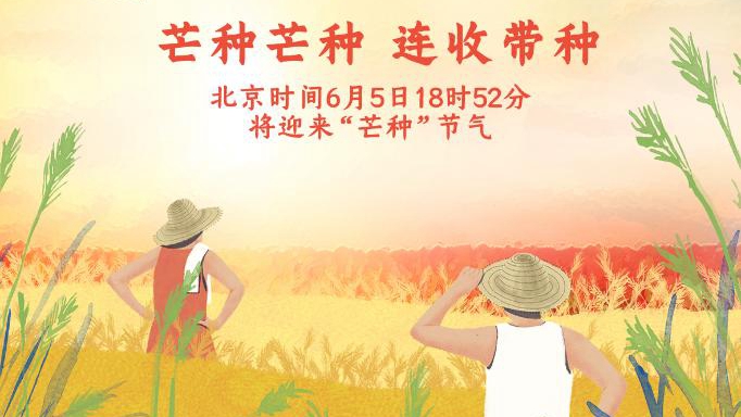 5日18時52分“芒種”：仲夏來臨，麥?zhǔn)赵诩? /></a>            
<div   id=