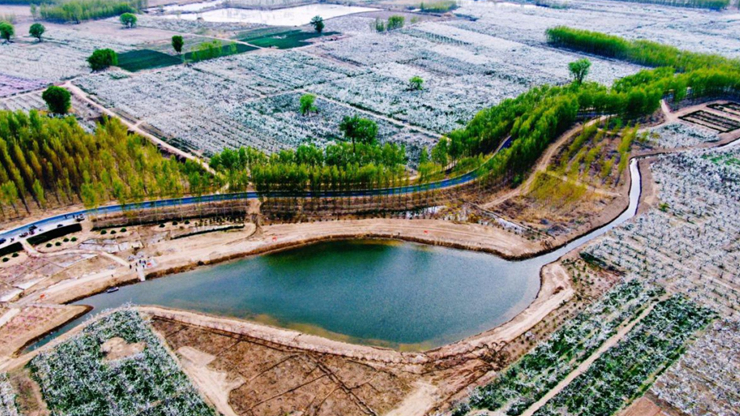 黨建引領(lǐng)生“蝶變”，公園游園顯生機