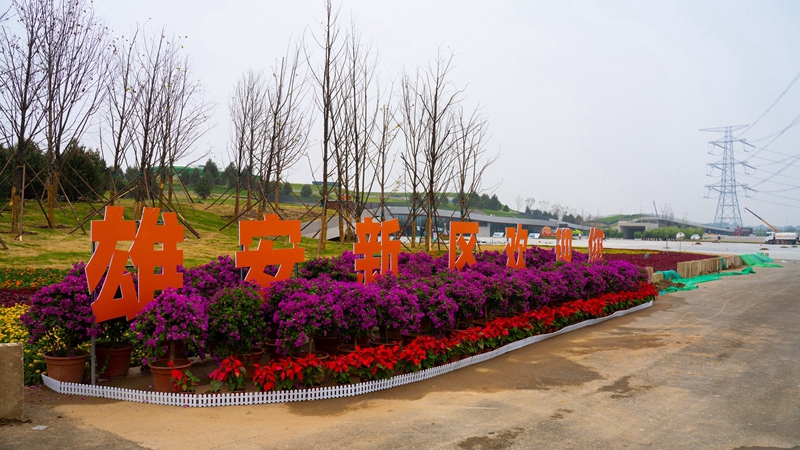 賞生態(tài)美景 品燕趙文化 雄安郊野公園建設(shè)基本完成