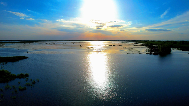 人、水、鳥、魚和諧共生——雄安新區(qū)繪就水城共融生態(tài)圖景