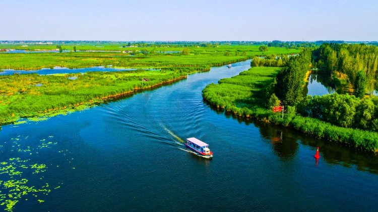 云游協(xié)同發(fā)展新地標(biāo)丨白洋淀：水潤雄安 美在當(dāng)“夏”