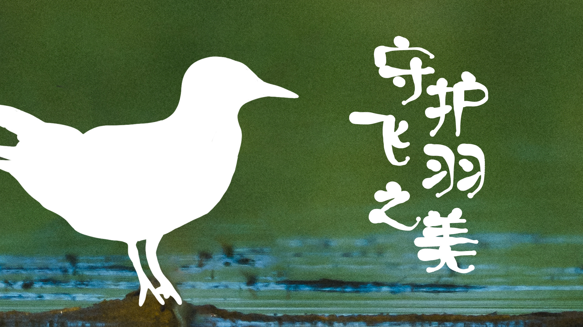 “鳥(niǎo)鳥(niǎo)”有很多小脾氣！白洋淀：沒(méi)問(wèn)題！