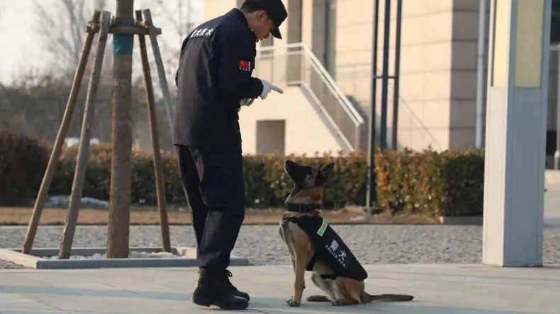 雄安新區(qū)公安局開展系列活動(dòng)慶祝第四個(gè)中國人民警察節(jié)