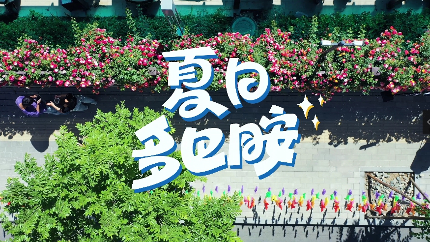 雄安建設(shè)進(jìn)行時(shí)丨夏日多巴胺