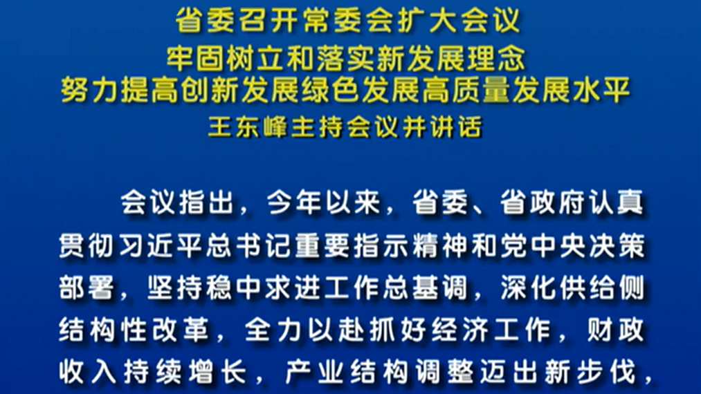 王東峰：努力提高創(chuàng)新發(fā)展綠色發(fā)展高質(zhì)量發(fā)展水平