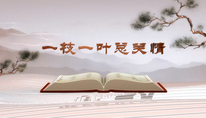 《平“語”近人——習(xí)近平總書記用典》第一集：一枝一葉總關(guān)情